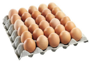 為何「無激素的飼養」令雞蛋更健康？